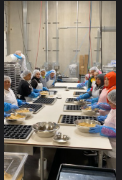 Team working at a long table in the bakery production facility